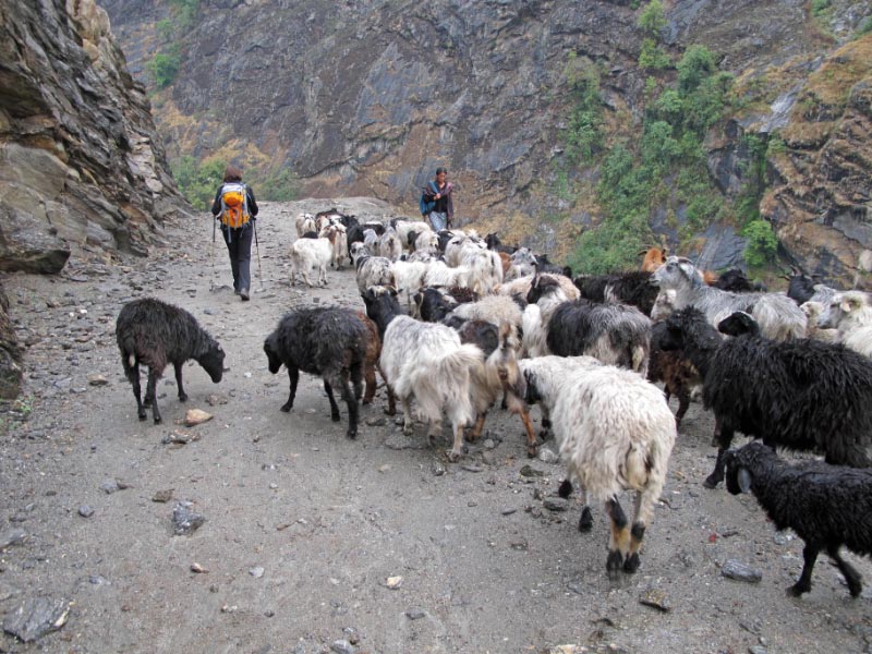 016 IMG_4242_bearbeitet-1