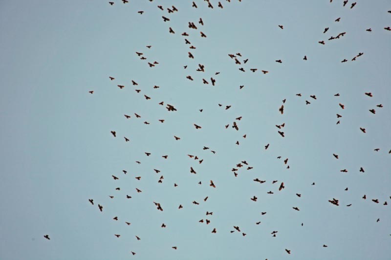 147 IMG_1147_bearbeitet-1