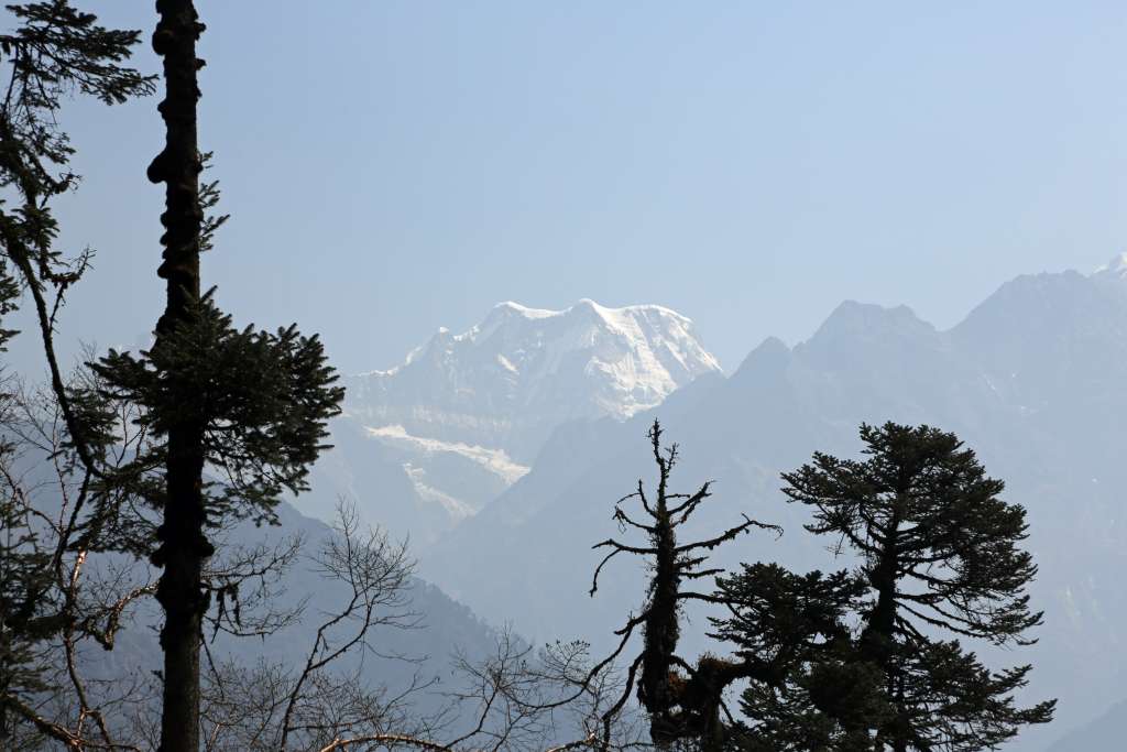 D50A0439_bearbeitet-1