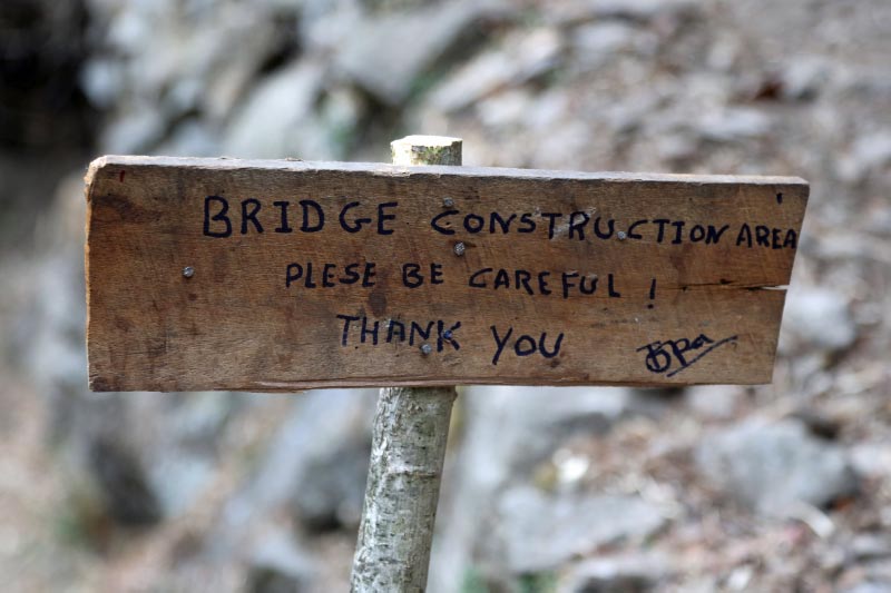 D50A7237_bearbeitet-1