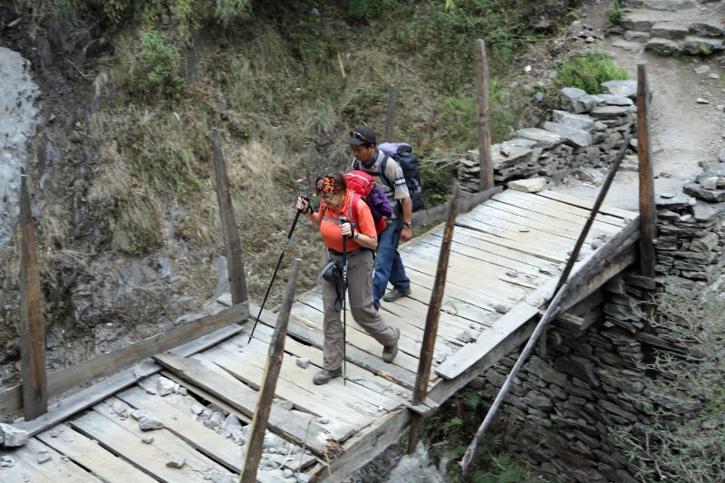 D50A7241_bearbeitet-1