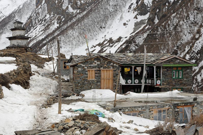 D50A7377_bearbeitet-1