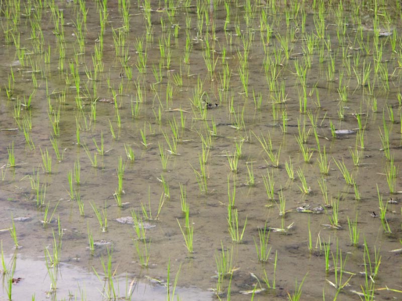 IMG_0208_bearbeitet-1