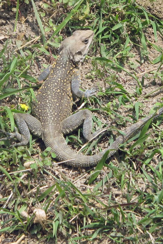 IMG_0339_bearbeitet-1