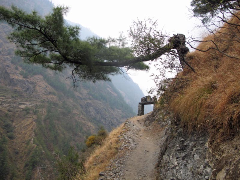 IMG_0382_bearbeitet-1