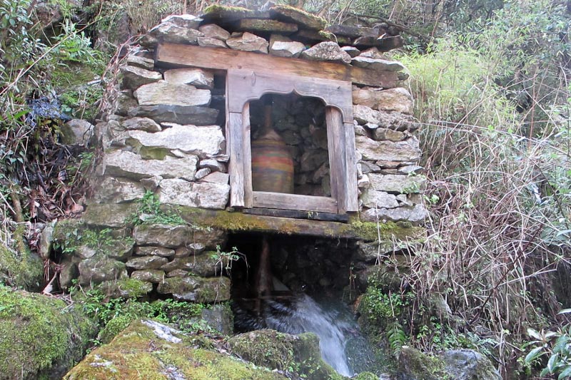 IMG_0405_bearbeitet-1